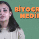 Biyografi Tanımı: Kişisel Hikayelerin Önemi ve Gücü